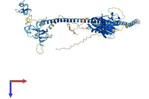 AlphaFold protein structure predicition of Human Recombinant MID2 Protein, UniprotID Q9UJV3