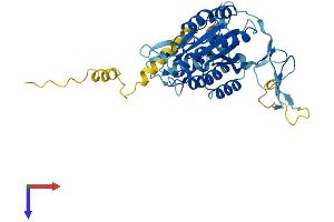 AlphaFold protein structure predicition of Mouse Recombinant Gtf2h2 Protein, UniprotID Q9JIB4