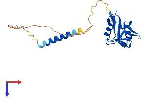AlphaFold protein structure predicition of Mouse Recombinant Cd69 Protein, UniprotID P37217