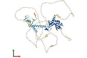 AlphaFold protein structure predicition of Human Recombinant CNOT4 Protein, UniprotID O95628