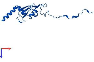 AlphaFold protein structure predicition of Human Recombinant NDUFA12 Protein, UniprotID Q9UI09