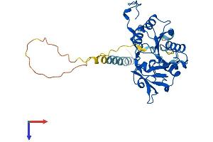 AlphaFold protein structure predicition of Human Recombinant B3GAT1 Protein, UniprotID Q9P2W7