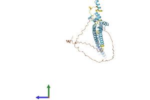AlphaFold protein structure predicition of Human Recombinant LUC7L2 Protein, UniprotID Q9Y383