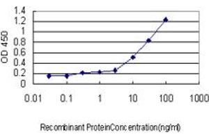 Detection limit for recombinant GST tagged MEF2A is approximately 0.