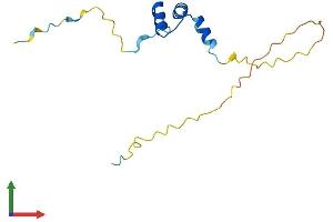 AlphaFold protein structure predicition of Mouse Recombinant Avpi1 Protein, UniprotID Q9D7H4