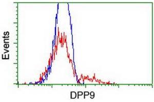 HEK293T cells transfected with either RC224465 overexpress plasmid (Red) or empty vector control plasmid (Blue) were immunostained by anti-DPP9 antibody (ABIN2455388), and then analyzed by flow cytometry. (DPP9 anticorps)
