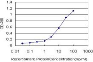 Detection limit for recombinant GST tagged RORB is approximately 0.