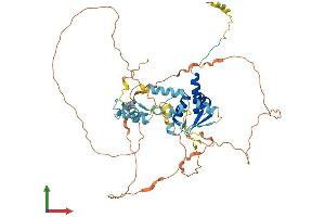 AlphaFold protein structure predicition of Human Recombinant ZBTB9 Protein, UniprotID Q96C00