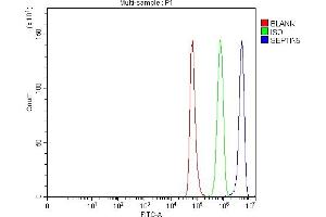 Flow Cytometry analysis of NRK cells using anti-SEPT5/SEPTIN5 antibody (ABIN7602924). (Septin 5 anticorps  (C-Term))