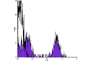 Flow Cytometry (FACS) image for Streptavidin protein (PE) (ABIN2145456)