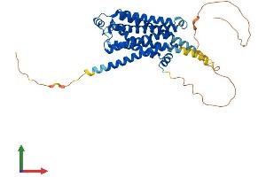 AlphaFold protein structure predicition of Human Recombinant ADRB2 Protein, UniprotID P07550