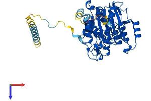 AlphaFold protein structure predicition of Mouse Recombinant B3GNT2 Protein, UniprotID Q9Z222