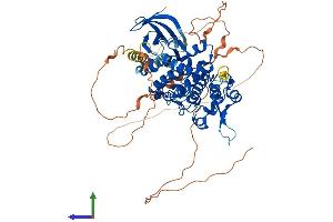 AlphaFold protein structure predicition of Human Recombinant HIPK4 Protein, UniprotID Q8NE63