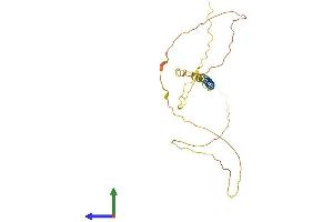 AlphaFold protein structure predicition of Human Recombinant MGARP Protein, UniprotID Q8TDB4