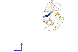 AlphaFold protein structure predicition of Human Recombinant BEGAIN Protein, UniprotID Q9BUH8