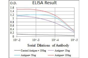 Red: Control Antigen (100ng) ; Purple: Antigen (10ng) ; Green: Antigen (50ng) ; Blue: Antigen (100ng). (E2F1 anticorps  (AA 69-223))