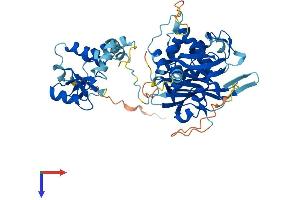 AlphaFold protein structure predicition of Human Recombinant USP22 Protein, UniprotID Q9UPT9