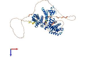 AlphaFold protein structure predicition of Mouse Recombinant Nckipsd Protein, UniprotID Q9ESJ4