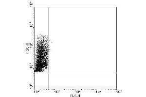 THP1 cells were incubated with IgG2a isptype controle (A) or α-TLR9 5G5 mAb (B).