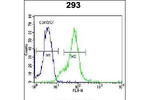 Flow cytometric analysis of 293 cells (right histogram) compared to a negative control cell (left histogram). (LGALS9B anticorps  (AA 160-188))