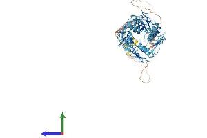 AlphaFold protein structure predicition of Human Recombinant ZNF93 Protein, UniprotID P35789