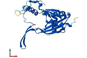 AlphaFold protein structure predicition of Human Recombinant NUDT14 Protein, UniprotID O95848