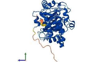 AlphaFold protein structure predicition of Mouse Recombinant Dus4l Protein, UniprotID Q32M08