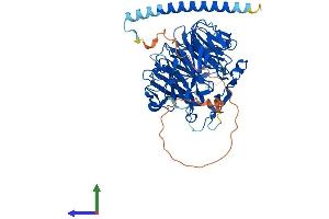 AlphaFold protein structure predicition of Human Recombinant CORO2A Protein, UniprotID Q92828