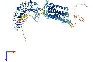 AlphaFold protein structure predicition of Human Recombinant RXFP1 Protein, UniprotID Q9HBX9