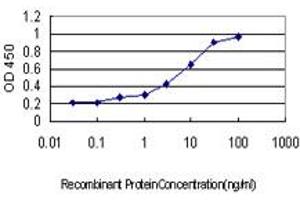 Detection limit for recombinant GST tagged PDCD7 is approximately 0. (PDCD7 anticorps  (AA 47-146))