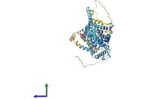 AlphaFold protein structure predicition of Human Recombinant SLC34A2 Protein, UniprotID O95436