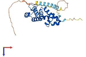 AlphaFold protein structure predicition of Mouse Recombinant Rgs2 Protein, UniprotID O08849