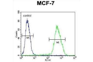 Flow Cytometry (FACS) image for anti-LIM Domain Only 4 (LMO4) antibody (ABIN2995822) (LMO4 anticorps)