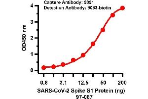 ELISA Validation of SARS-CoV-2 Spike Antibody Pair A sandwich ELISA was performed using the anti-SARS-COV-2 Spike S1 antibodies ABIN6952962 (10 μg/mL ) as the capture antibody.