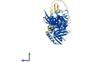 AlphaFold protein structure predicition of Human Recombinant POT1 Protein, UniprotID Q9NUX5