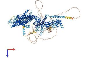 AlphaFold protein structure predicition of Mouse Recombinant Trpc4 Protein, UniprotID Q9QUQ5