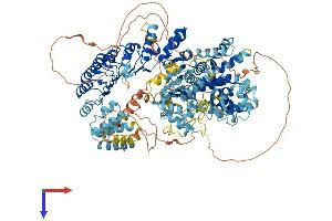 AlphaFold protein structure predicition of Mouse Recombinant Ciita Protein, UniprotID P79621