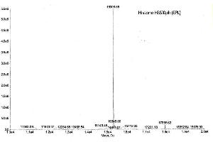 Mass Spectrometry (MS) image for Histone H3 (H3) (pSer10) protein (ABIN2669560)