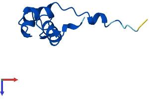 AlphaFold protein structure predicition of Mouse Recombinant Polr2l Protein, UniprotID P62876