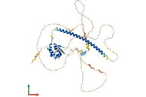AlphaFold protein structure predicition of Mouse Recombinant Hsf4 Protein, UniprotID Q9R0L1