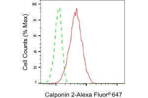 Flow cytometric analysis of Calponin 2 expression in HT- cells using Calponin 2 antibody (ABIN7797852), 1:1,000). (CNN2 anticorps)