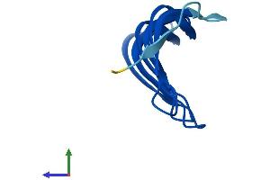 AlphaFold protein structure predicition of Human Recombinant MORN2 Protein, UniprotID Q502X0