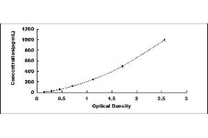 Typical standard curve (TNNT1 Kit ELISA)