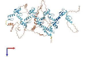 AlphaFold protein structure predicition of Human Recombinant ZNF484 Protein, UniprotID Q5JVG2