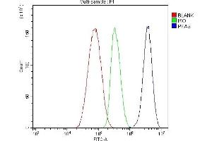 Flow Cytometry analysis of HepG2 cells using anti-PFAS antibody (ABIN7601361).