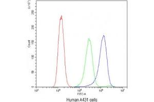 Flow cytometry testing of human A431 cells with ATG14L antibody at 1ug/10^6 cells (blocked with goat sera) (ATG14 anticorps)
