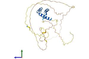 AlphaFold protein structure predicition of Human Recombinant GSX2 Protein, UniprotID Q9BZM3