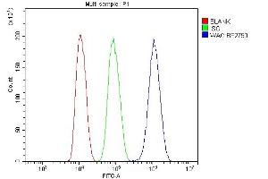 Flow Cytometry analysis of HepG2 cells using anti-WAC antibody (ABIN7601789). (WAC anticorps  (AA 459-647))