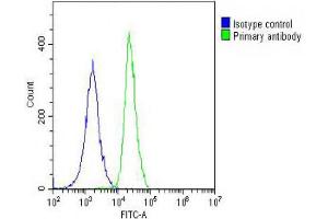 Overlay histogram showing A549 cells stained with (ABIN653155 and ABIN2842723) (green line).