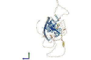 AlphaFold protein structure predicition of Human Recombinant CCAR2 Protein, UniprotID Q8N163